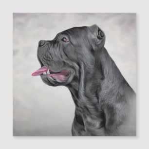 Carte Magnétique Dessin Cane Corso - Mastiff italien 12