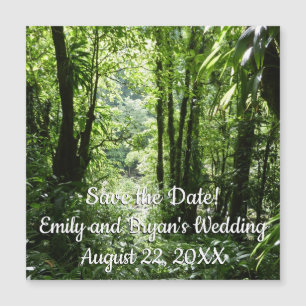 Carte Magnétique Dominicain Forêt de pluie II Vert tropical