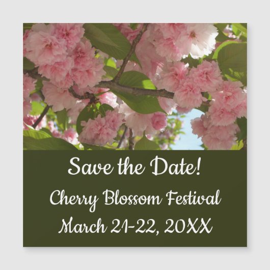 Carte Magnétique Double floraison cerisier III printemps fleuri (Devant)