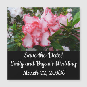 Carte Magnétique Double rouge et blanc Azaleas printemps floral