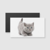 Carte magnétique du chat (Devant / Derrière)