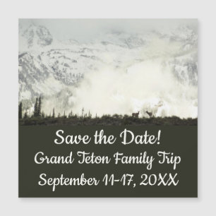 Carte Magnétique Elk at Grand Teton National Park Photographie