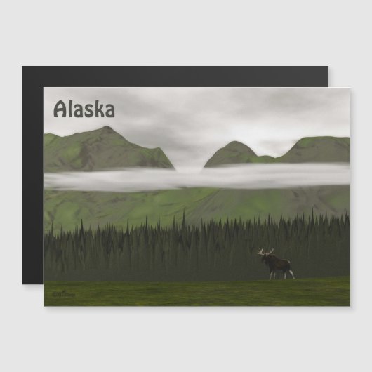 Carte Magnétique Emerald Alaska (Devant / Derrière)