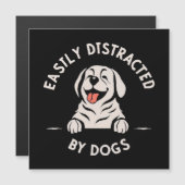 Carte Magnétique Facilement distrait par les chiens (Devant / Derrière)