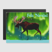 Carte Magnétique Feliz Navidad - Oie auréolée du Nord (Devant / Derrière)