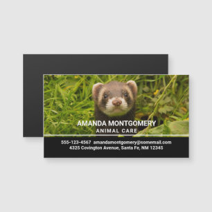 Carte Magnétique Ferret Brown mignon dans l'herbe photo