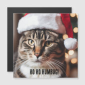 Carte Magnétique Festive Tabby (Devant / Derrière)