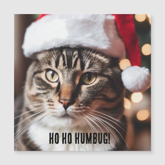 Carte Magnétique Festive Tabby (Devant)