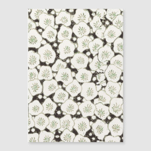 Carte Magnétique Fleur de Japon vintage 1902 : Fleur noire et blanc