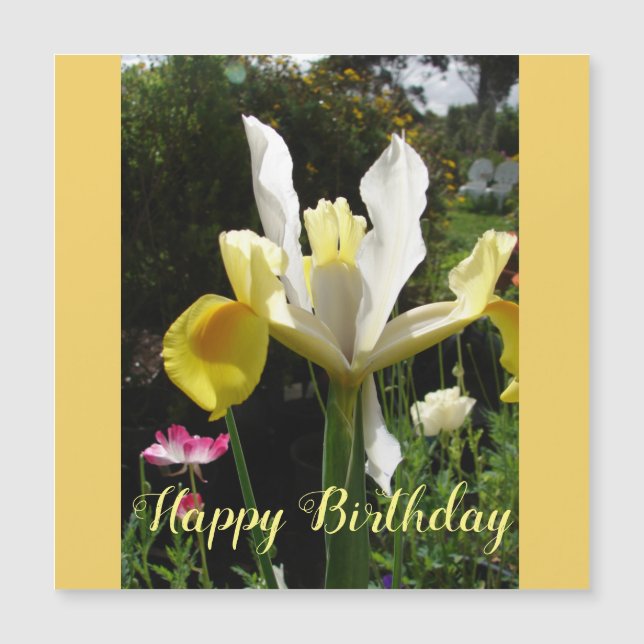 Carte Magnétique Fleur d'Iris Jaune Floral Irises d'anniversaire (Devant)