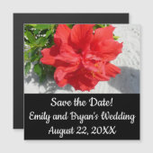 Carte Magnétique Fleur double hibiscus rouge (Devant / Derrière)