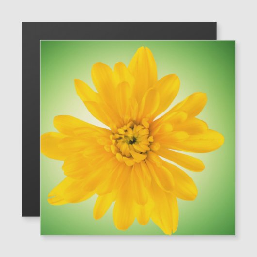 Carte Magnétique Fleur jaune (Devant / Derrière)