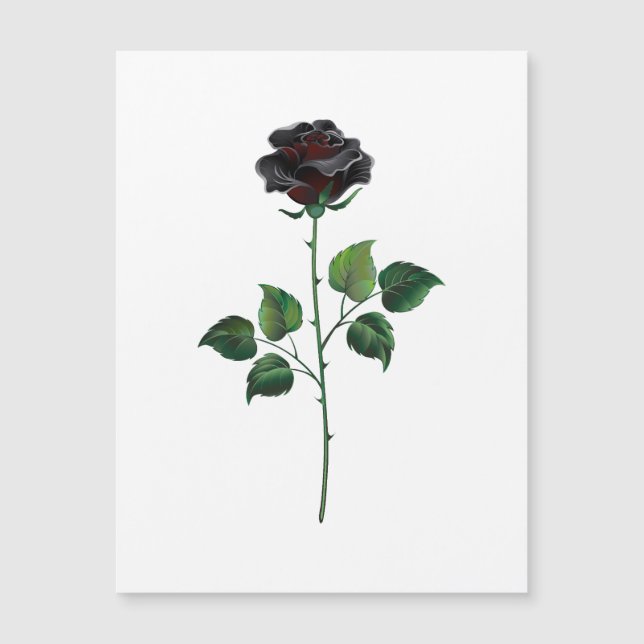 Carte Magnétique Fleur rose noire (Devant)