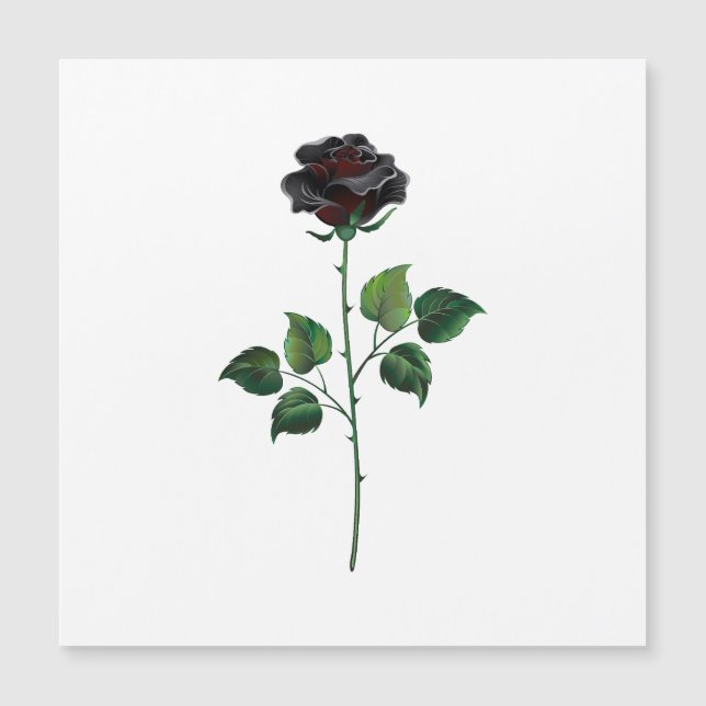 Carte Magnétique Fleur rose noire (Devant)