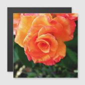 Carte Magnétique Fleur rose orange (Devant / Derrière)