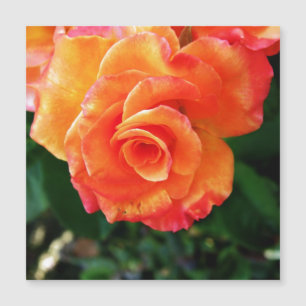 Carte Magnétique Fleur rose orange