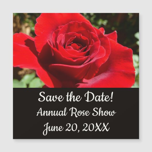 Carte Magnétique Fleur rose rouge vif Belle florale (Devant)