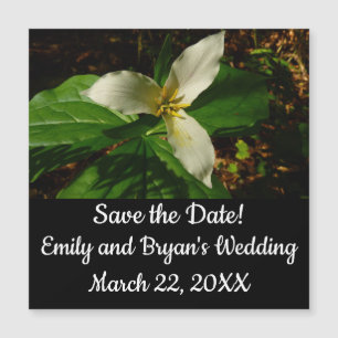 Carte Magnétique Fleur sauvage de printemps blanc Trillium Flower