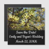 Carte Magnétique Fleurs à puces de sorcière (Devant / Derrière)