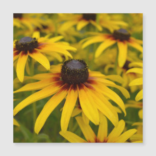 Carte Magnétique Fleurs de Susan aux yeux noirs