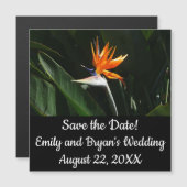 Carte Magnétique Flower tropical orange paradise (Devant / Derrière)