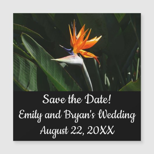 Carte Magnétique Flower tropical orange paradise (Devant)