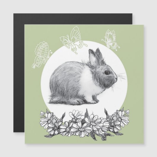 Carte Magnétique Fluffez le lapin. Dessin au crayon (Devant / Derrière)