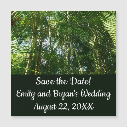 Carte Magnétique Forest of Palm Trees Tropical Nature (Devant)