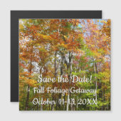 Carte Magnétique Forêt d'automne II Photographie de paysage d'autom (Devant / Derrière)