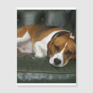 Carte Magnétique Fraisage beagle.png