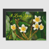 Carte Magnétique Frangipani jaune (Devant / Derrière)