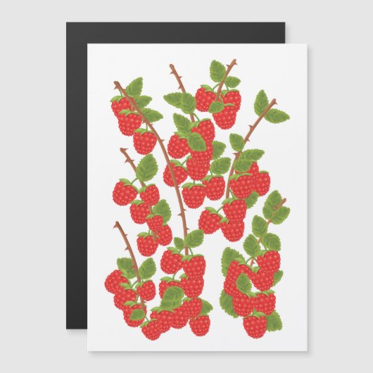 Carte Magnétique Fruit de framboise (Devant / Derrière)