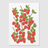 Carte Magnétique Fruit de framboise (Devant)