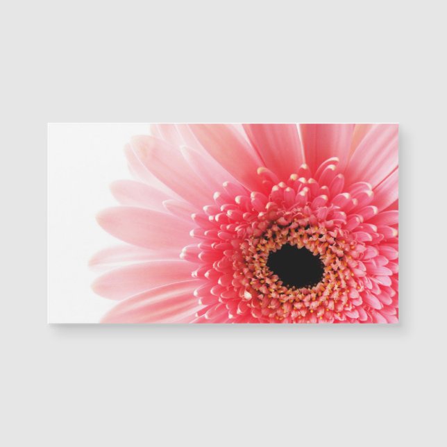 Carte Magnétique Gerbera Rose Daisy (Devant)