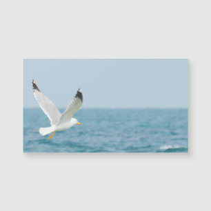Carte Magnétique Goéland volant au-dessus de la mer