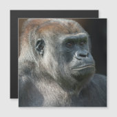 Carte Magnétique Gorilla Ozala (Devant / Derrière)