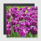 Carte Magnétique Grand champ de tulipes pourpres (Devant / Derrière)