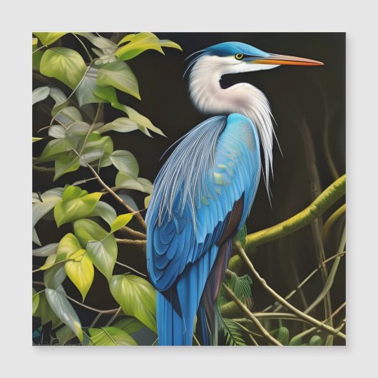 Carte Magnétique Héron bleu (Devant)