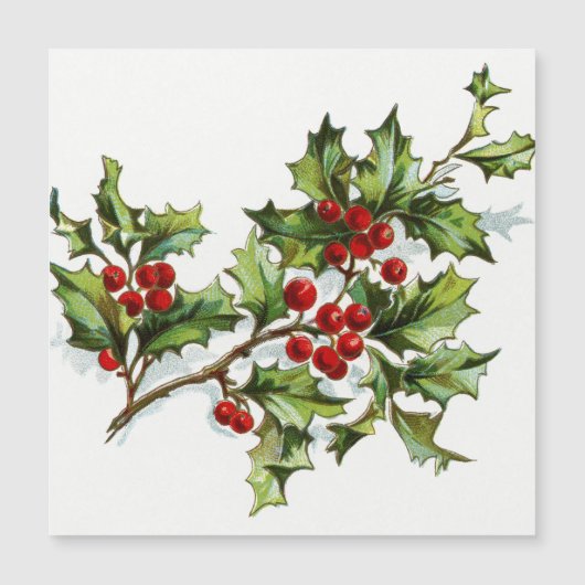 Carte Magnétique HollyBerries 001 (Devant)