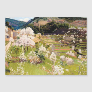 Carte Magnétique Jardin en terrasse à Majorque