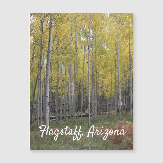 Carte Magnétique Jaune d'Aspen (Devant)