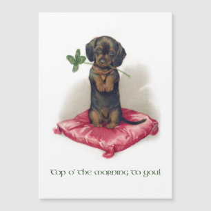 Carte Magnétique Joli Dachshund Vintage St. Patrick's Day avec trèf