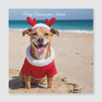 Joyeux Noël de la plage de Floride