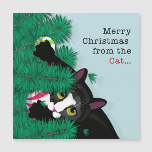 Carte Magnétique Joyeux Noël du chat