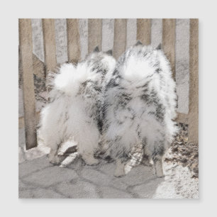 Carte Magnétique Keeshonds at the Gate Painting - Original Dog Art