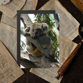 Carte Magnétique Koala - Dormir