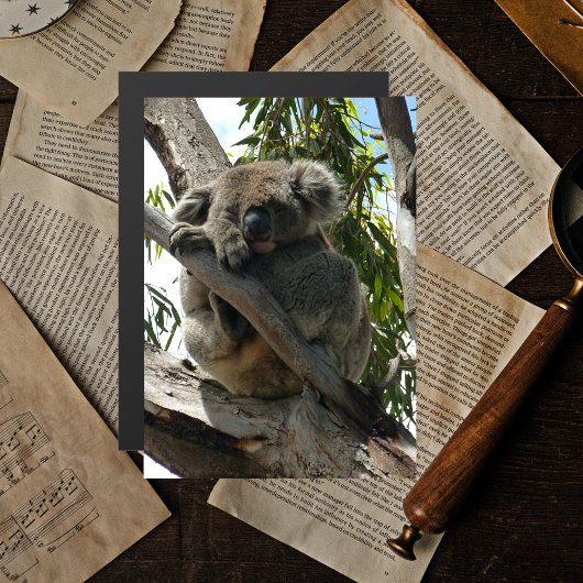 Carte Magnétique Koala - Dormir