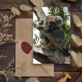 Carte Magnétique Koala - Dormir