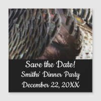 La Turquie sauvage Plumes I Abstrait Nature Design