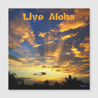 Carte Magnétique L'aimant, vivent Aloha, coucher du soleil, Maui